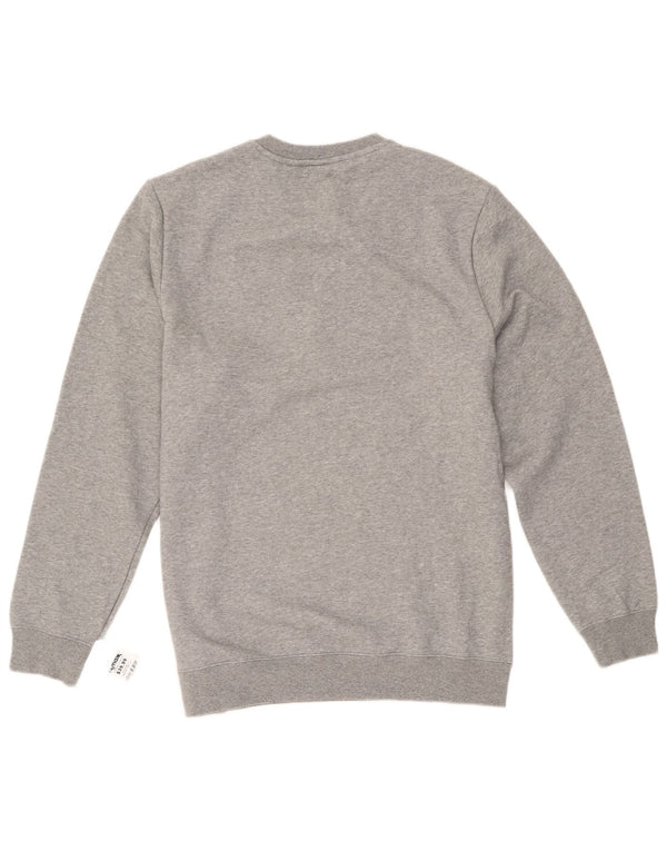 Ανδρικό γραφικό φούτερ Puma Jumper μεγάλο γκρι βαμβακερό