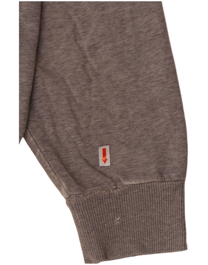 Ανδρικό Reebok Graphic Hoodie Jumper μεγάλο γκρι βαμβακερό