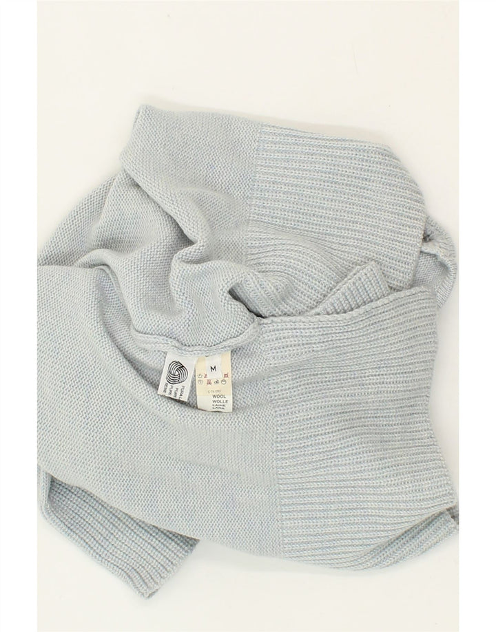 PENNY PULL Womens V-Neck Jumper Sweater UK 14 Medium Blue Wool Vintage Penny Pull and Second-Hand Penny Pull from Messina Hembry 