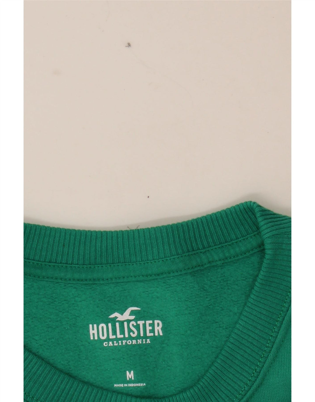 HOLLISTER Mens Graphic Sweatshirt Jumper Medium Green Cotton Vintage Hollister and Second-Hand Hollister from Messina Hembry 