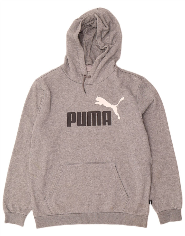 Ανδρικό γραφικό κουκούλα PUMA, μεσαίο γκρι βαμβακερό