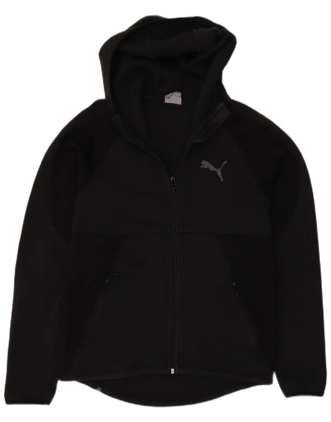 Ανδρικό πουλόβερ με κουκούλα με φερμουάρ Puma, μεσαίο μαύρο βαμβακερό