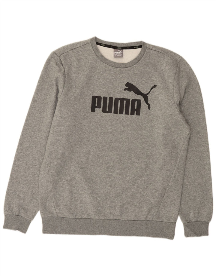 Ανδρικό γραφικό φούτερ PUMA, βαμβακερό γκρι μεγάλο