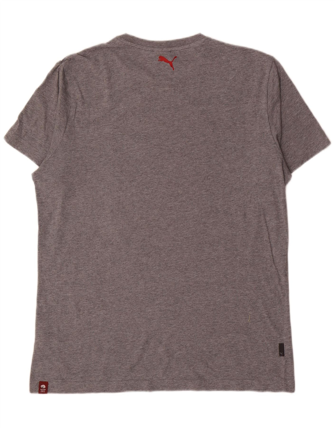 Ανδρικό γραφικό T-Shirt Puma Top Large Grey