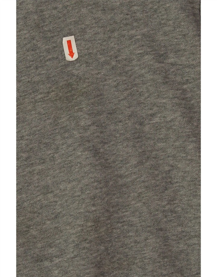 Puma Boys Graphic Φούτερ Jumper 13-14 ετών Γκρι Βαμβακερό