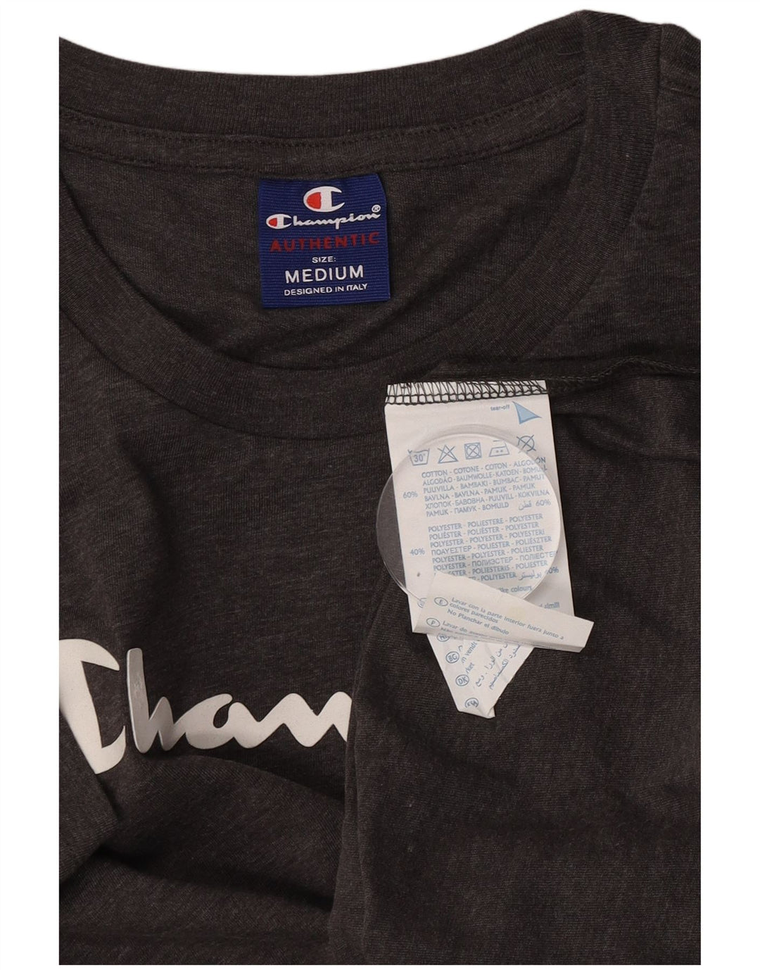 Ανδρικό γραφικό T-Shirt Champion Top Μεσαίο γκρι βαμβακερό