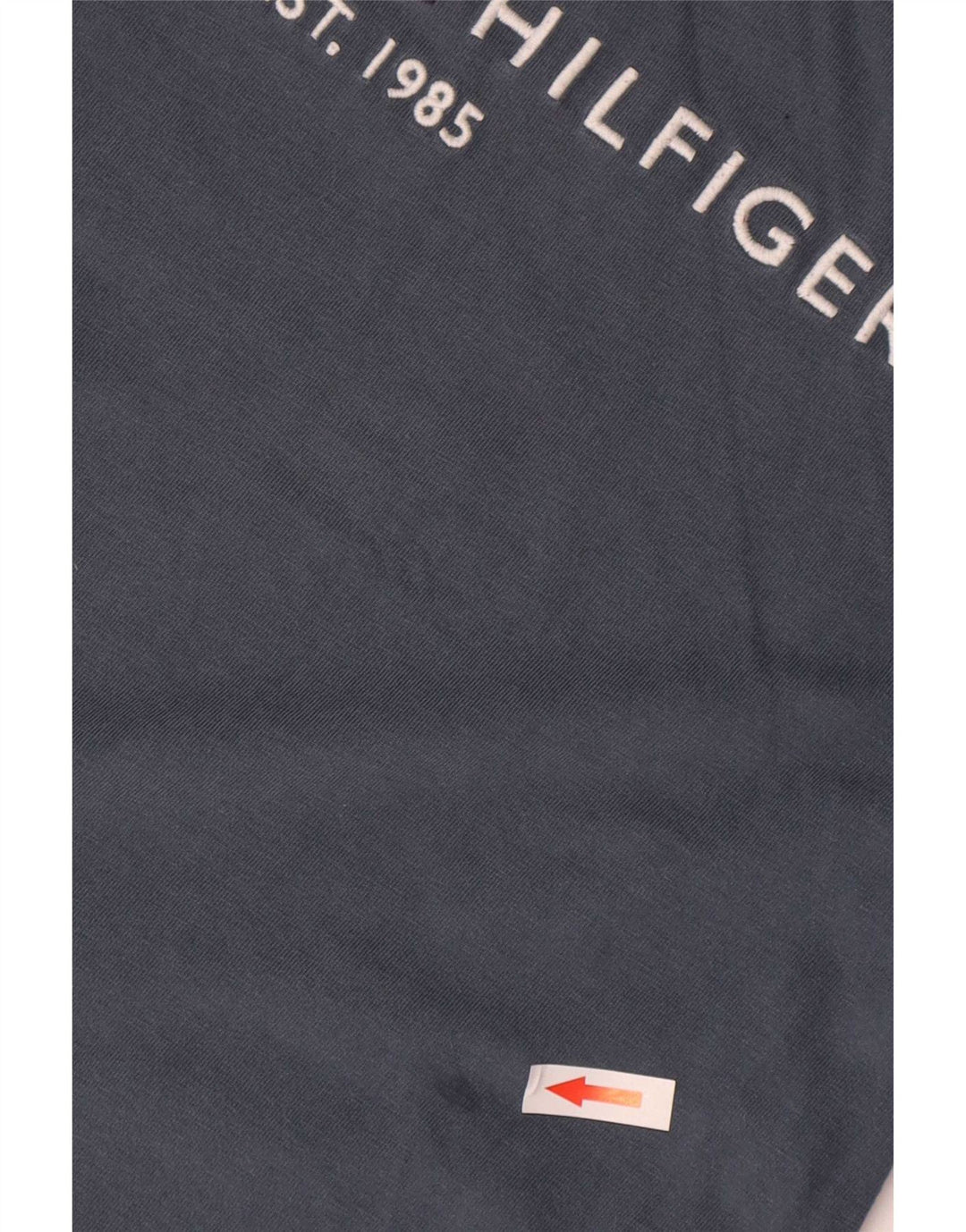 Ανδρικό γραφικό T-Shirt Tommy Hilfiger Top Μεσαίο γκρι βαμβακερό