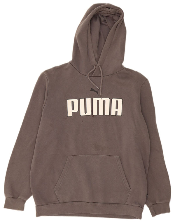 Ανδρικό γραφικό κουκούλα Puma, μεσαίο γκρι βαμβακερό