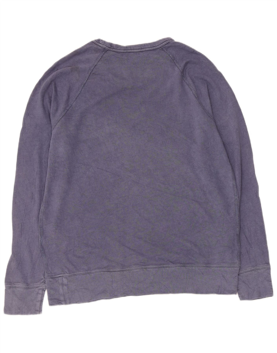 Ανδρικό φούτερ Polo Ralph Lauren Jumper Medium Blue