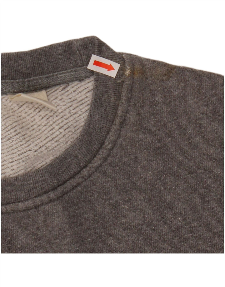 Ανδρικό γραφικό φούτερ Levi's Jumper XL Γκρι βαμβακερό