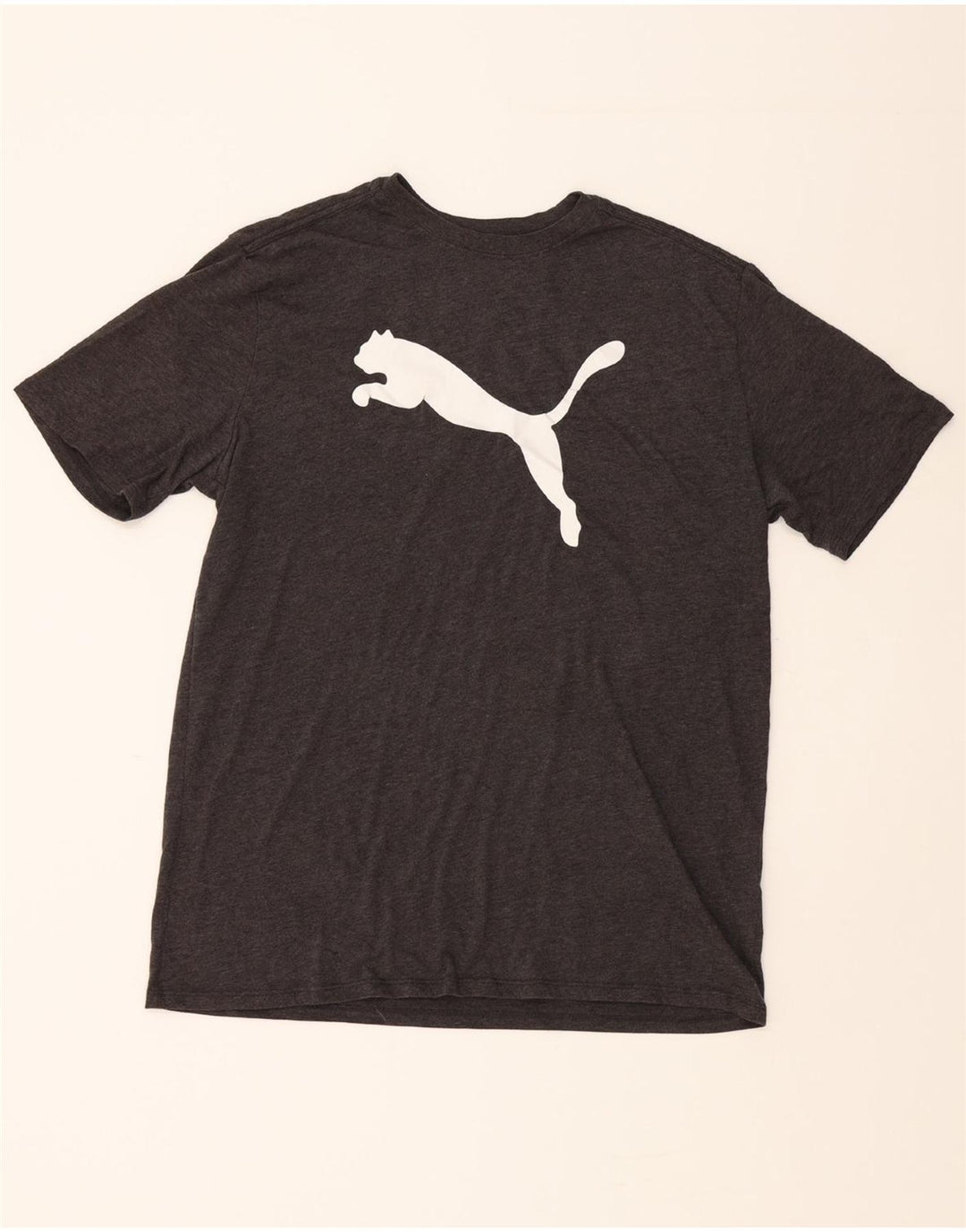 PUMA Mens Graphic T-Shirt Top Medium Grey Polyester Vintage Puma and Second-Hand Puma from Messina Hembry 