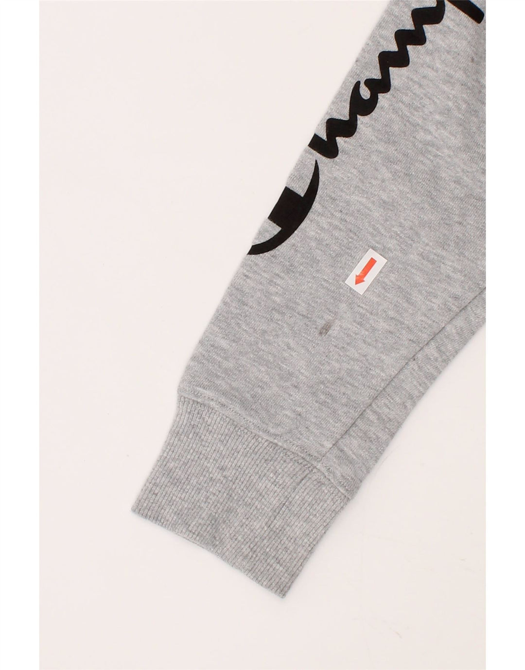 CHAMPION Boys Graphic Sweatshirt Jumper 7-8 Years Medium Grey Cotton Vintage Champion and Second-Hand Champion from Messina Hembry 