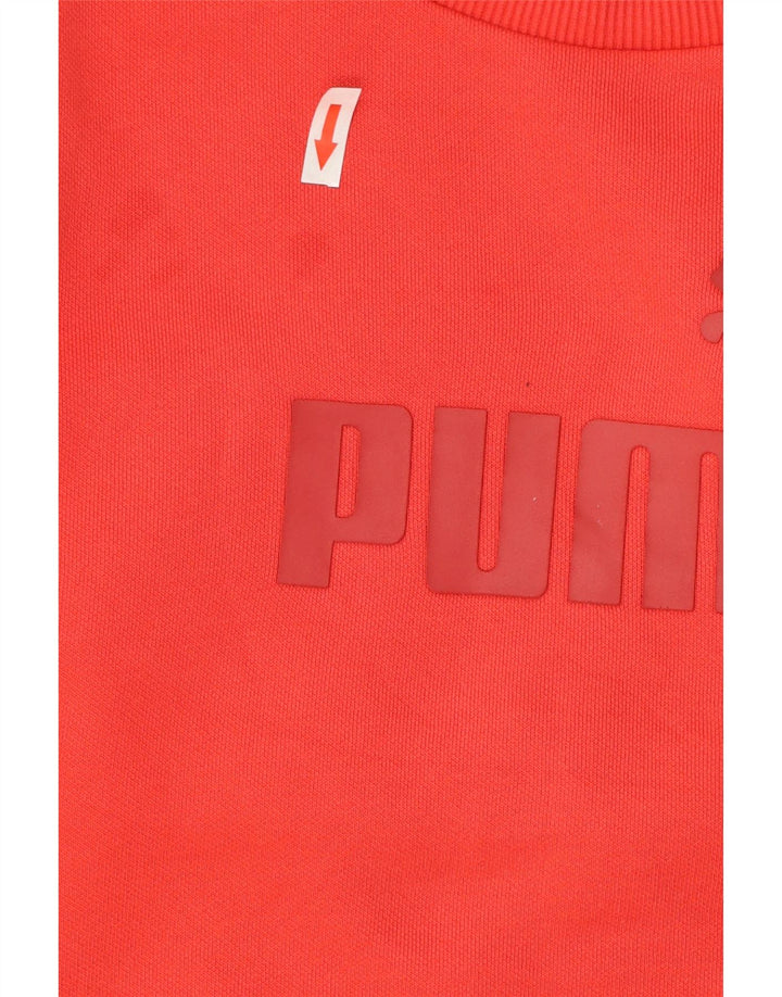 Ανδρικό γραφικό φούτερ Puma Jumper Μικρό κόκκινο