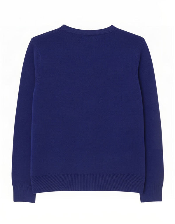Marks & Spencer Womens Crew Neck Jumper Sweater UK 10 Small Blue Acrylic