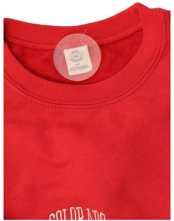 Urban Outfitters Ανδρικό γραφικό φούτερ Jumper Μικρό κόκκινο