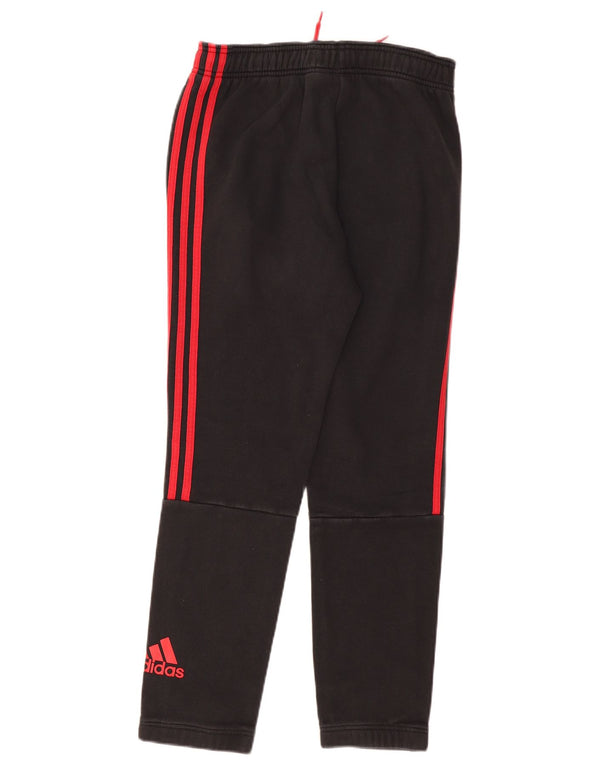 Ανδρική φόρμα ADIDAS Παντελόνι Joggers Μικρό Γκρι Βαμβακερό