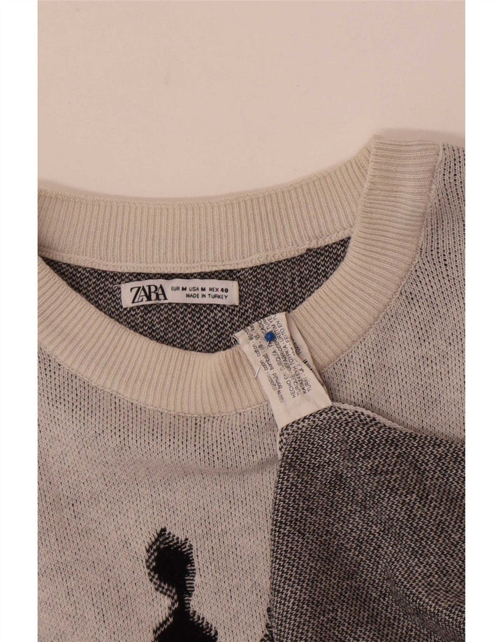 Ανδρικό πουλόβερ Zara Graphic Boat Neck Jumper Μεσαίο γκρι βαμβακερό