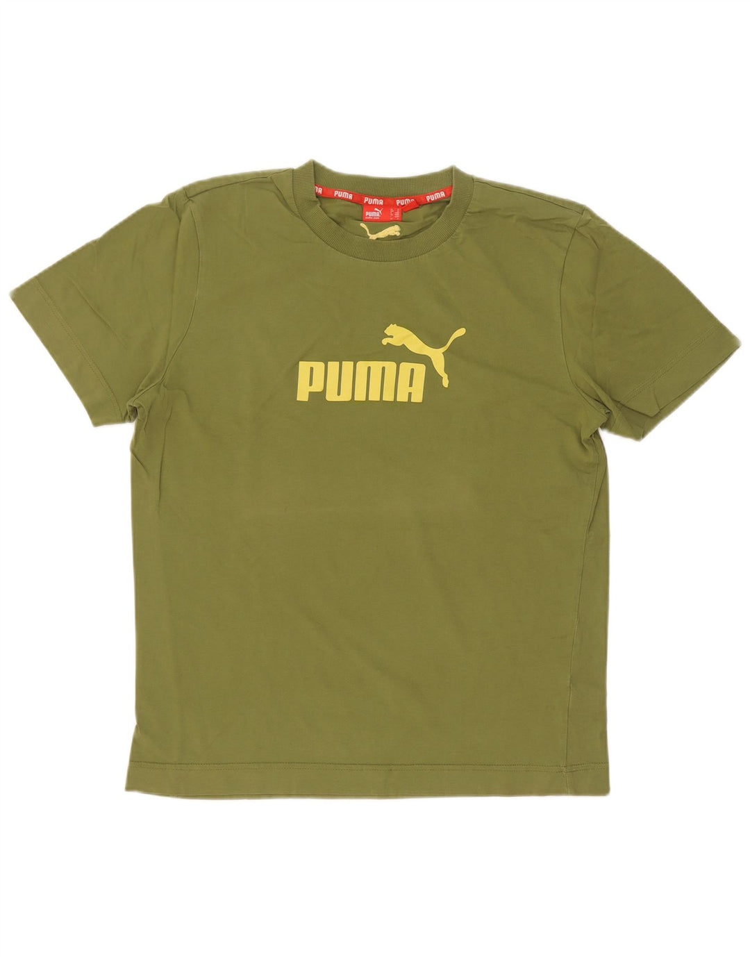 Ανδρικό γραφικό μπλουζάκι Puma Top Μεσαίο πράσινο