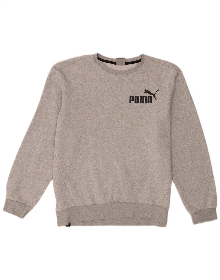 Ανδρική φούτερ Puma Jumper Large Grey