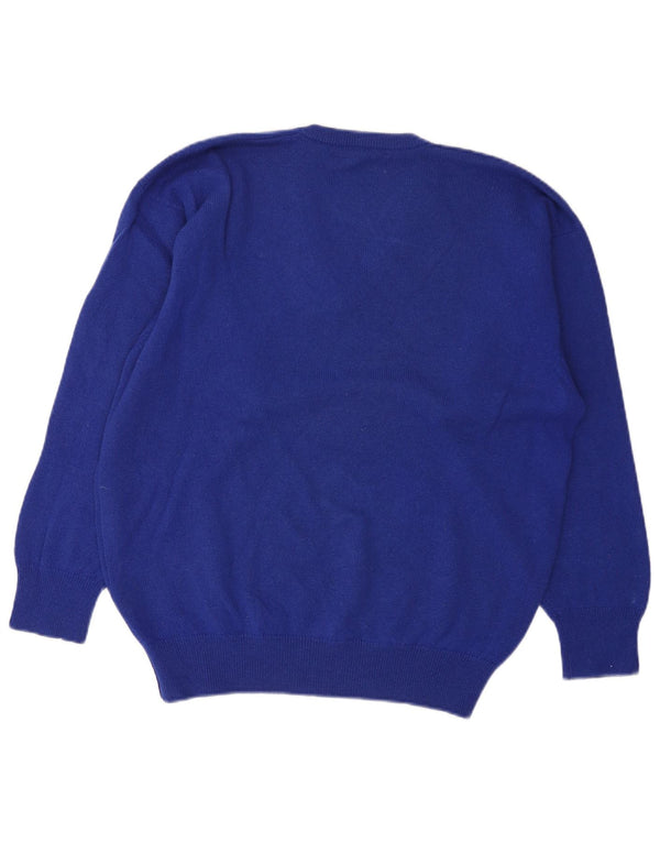 Pringle Mens Relaxed Fit V-Neck Jumper Sweater Small Blue Sports