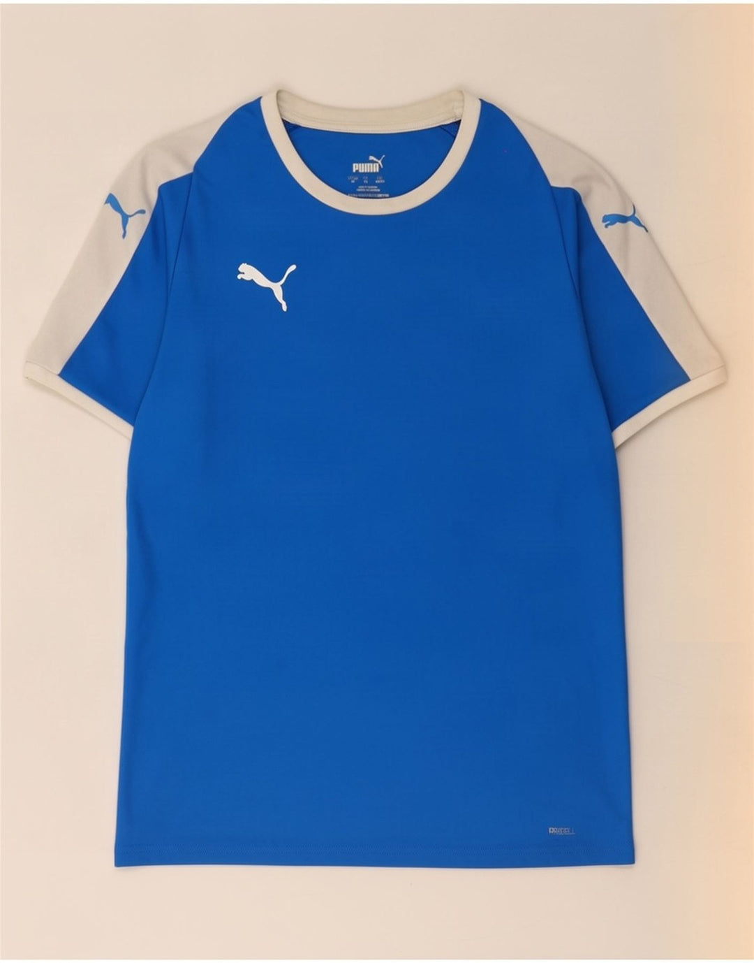 Puma Ανδρικό T-Shirt Top Medium Blue Colorblock Polyester