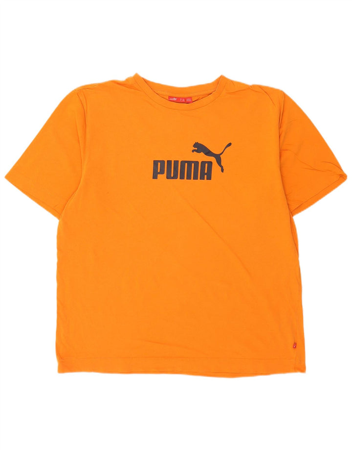 Ανδρικό γραφικό μπλουζάκι Puma Top Large Πορτοκαλί