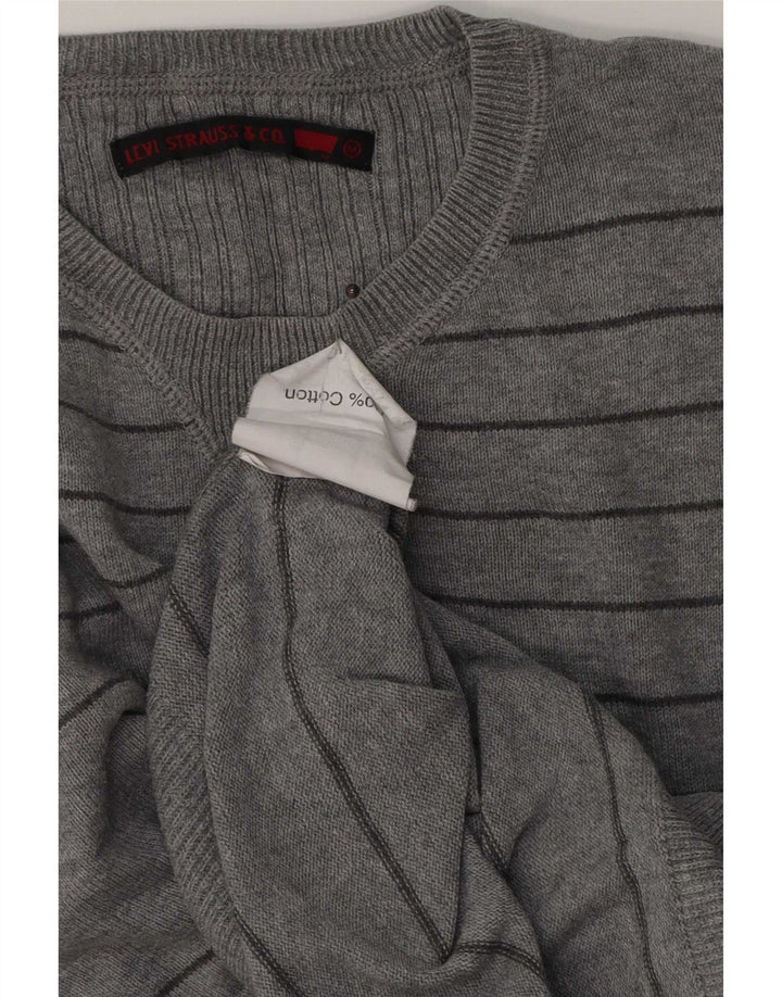 Ανδρικό πουλόβερ Levi's Crew Neck Jumper Βαμβακερό μεσαίο γκρι ριγέ
