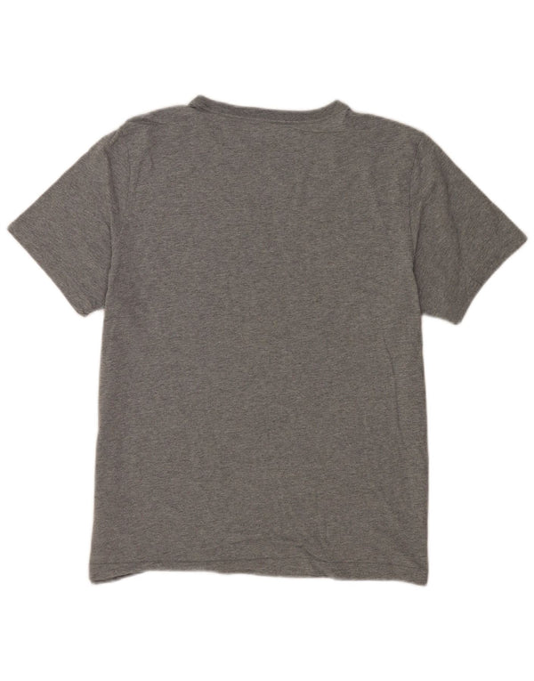 Ανδρικό γραφικό T-Shirt Puma Top Larg γκρι βαμβακερό