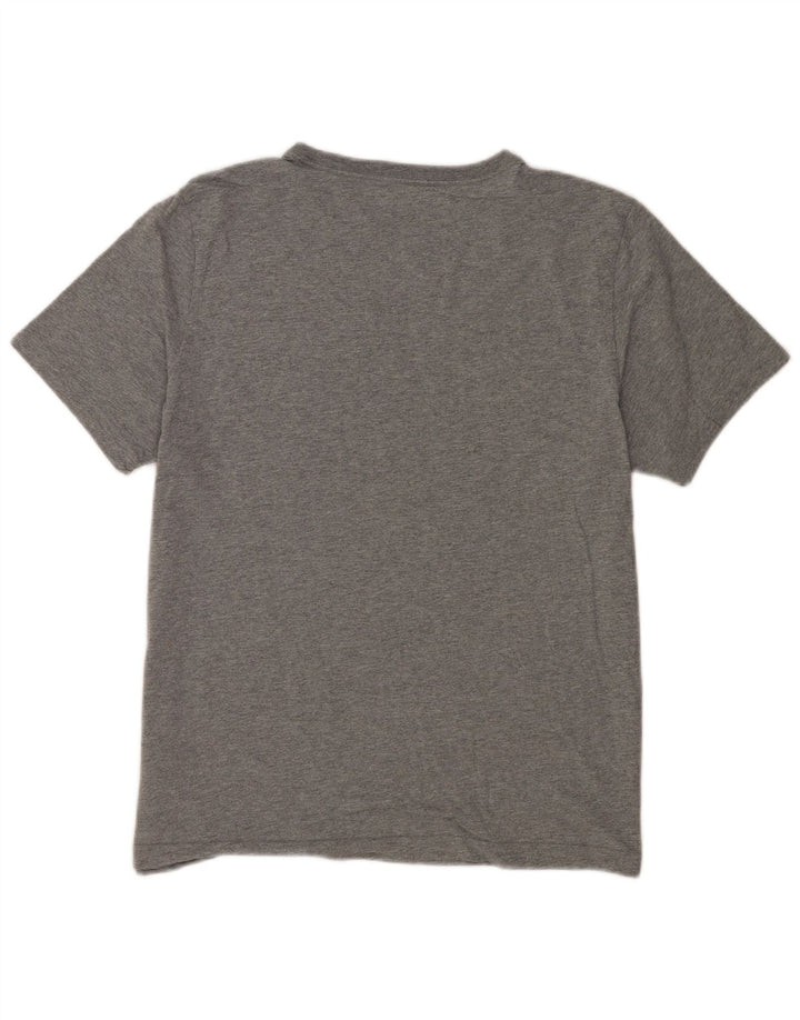 Ανδρικό γραφικό T-Shirt Puma Top Larg γκρι βαμβακερό