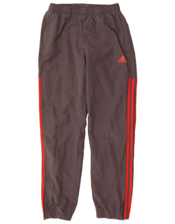 Ανδρική αθλητική φόρμα Adidas Παντελόνι Joggers Small Grey Polyester