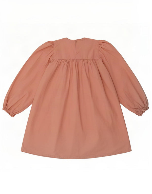 Zara Γυναικεία Μακρυμάνικη Μπλούζα Oversized Μπλούζα UK 12 Medium Pink