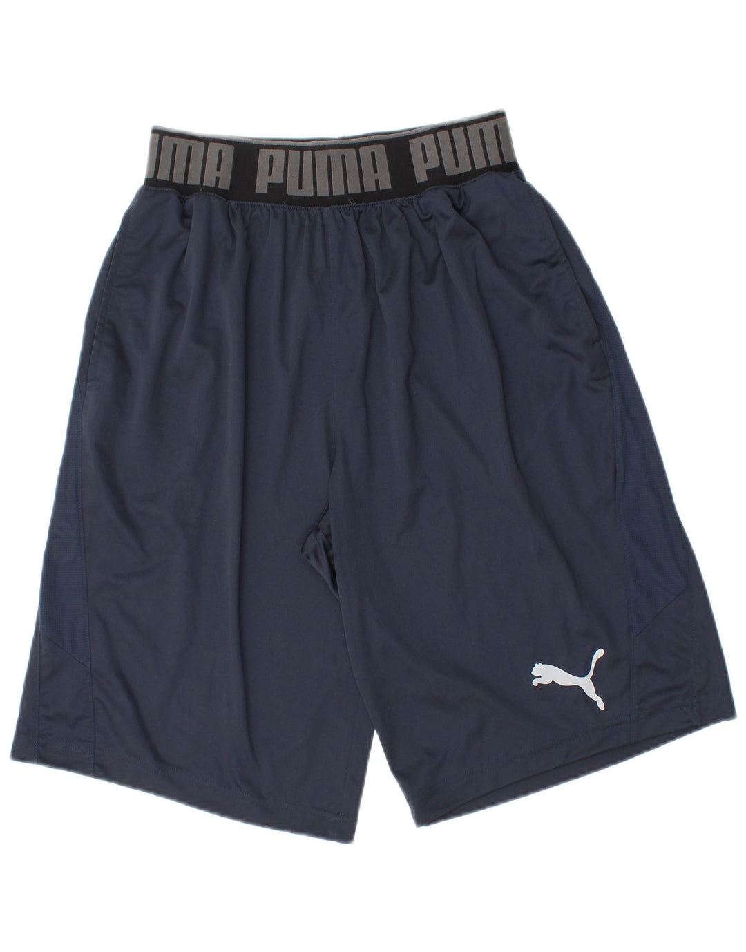 Ανδρικό αθλητικό σορτς Puma Μικρό Navy Blue Polyester
