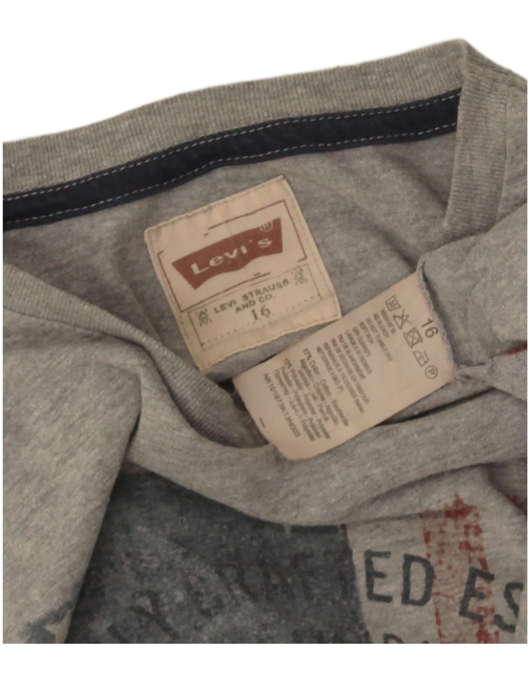 Levi's Boys Graphic Top Μακρυμάνικο 15-16 ετών Γκρι Βαμβακερό
