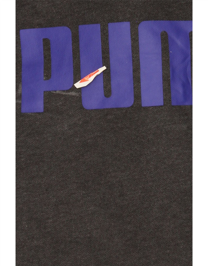 Ανδρικό γραφικό φούτερ με κουκούλα Puma Large Grey