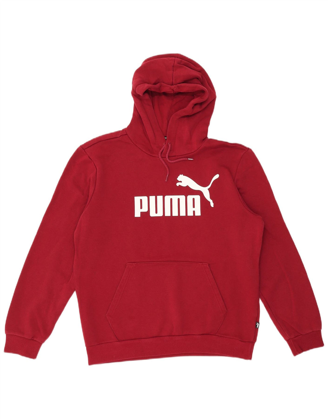Ανδρικό γραφικό κουκούλα PUMA, μεσαίο βαμβάκι