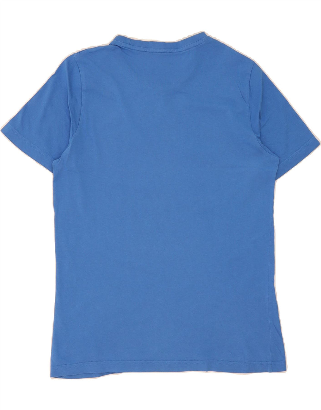 PUMA Mens Graphic T-Shirt Top Small Blue Colourblock Vintage Puma and Second-Hand Puma from Messina Hembry 
