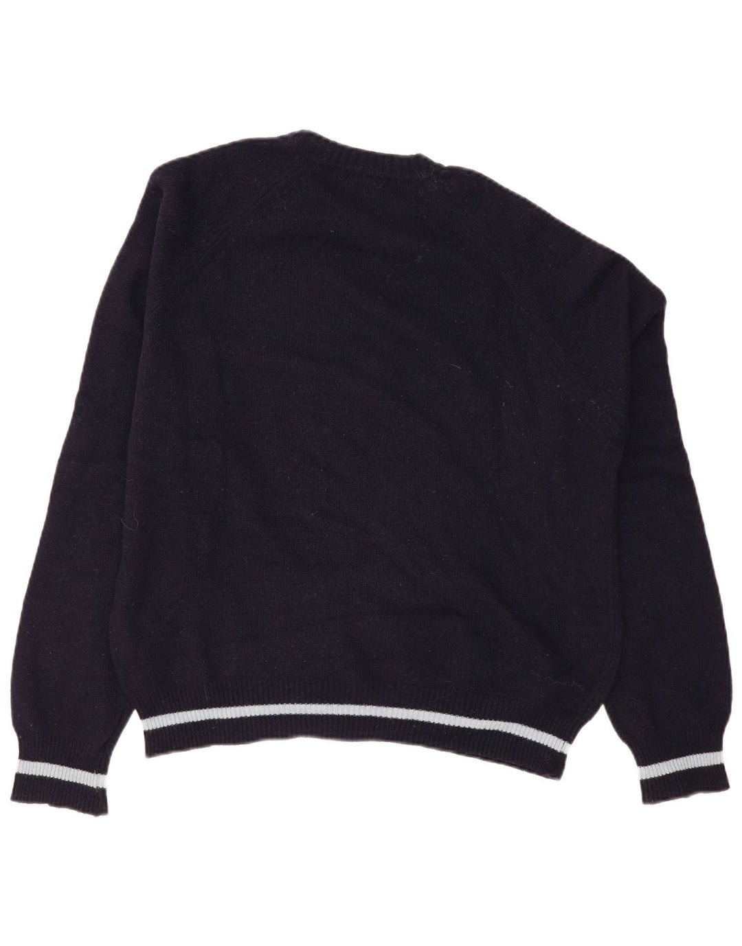 Πουλόβερ Lee Womens Graphic Crew Neck Jumper Large Navy Blue Wool