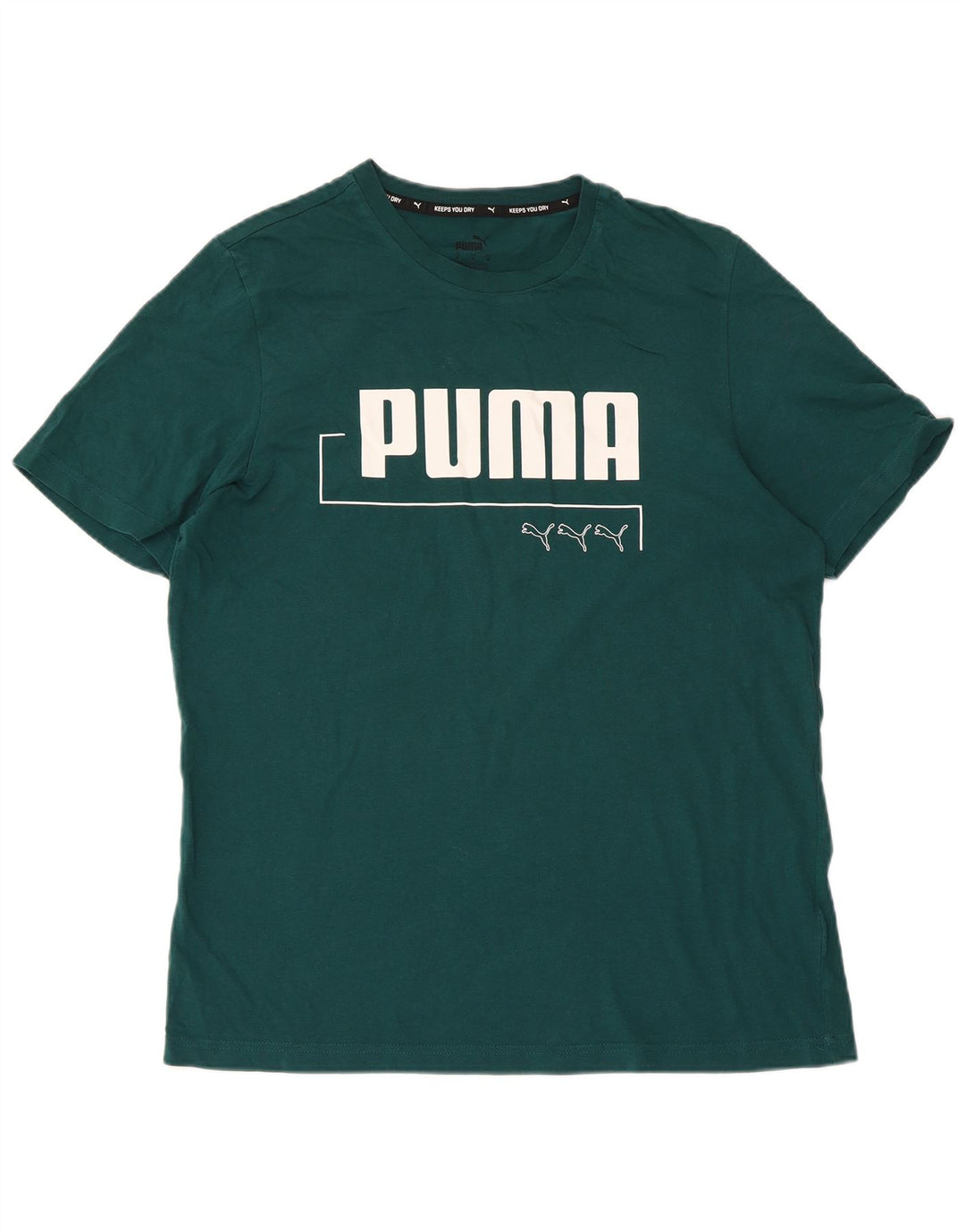 Ανδρικό γραφικό μπλουζάκι Puma Top Μεσαίο πράσινο