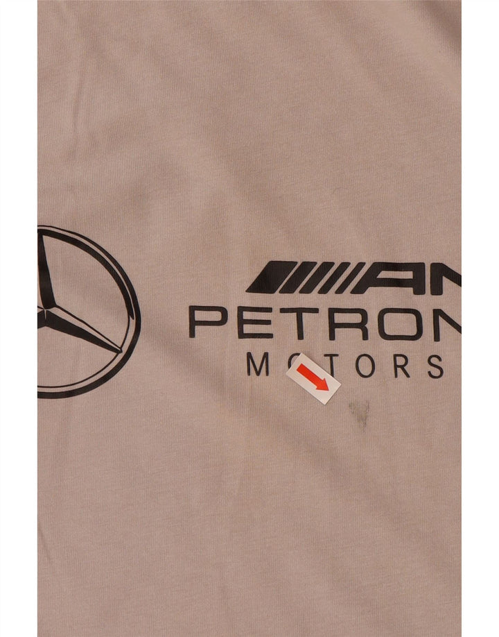 Ανδρικό γραφικό μπλουζάκι PUMA Μικρό βαμβακερό γκρι