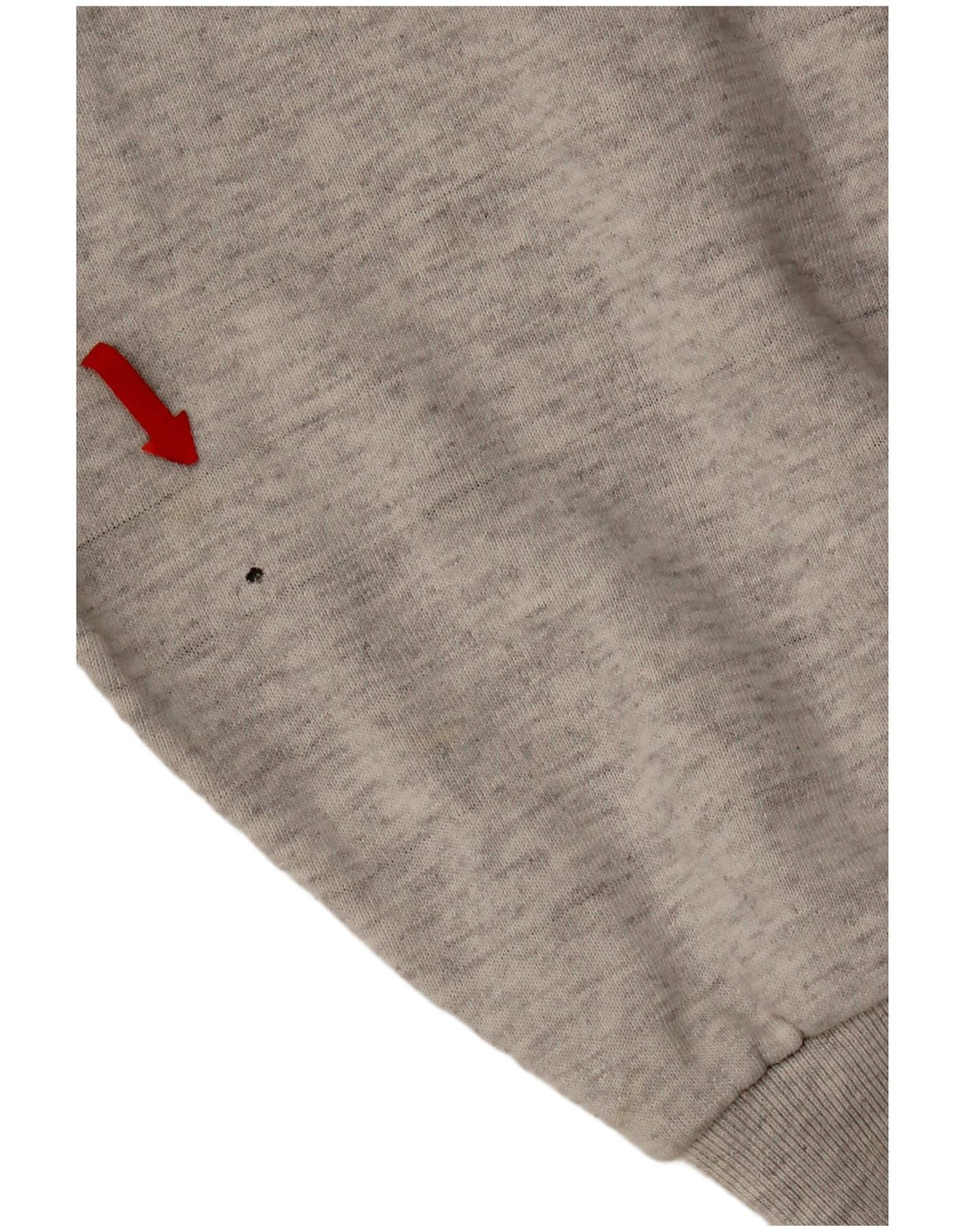 Champion Mens Graphic Hoodie Jumper XL Grey