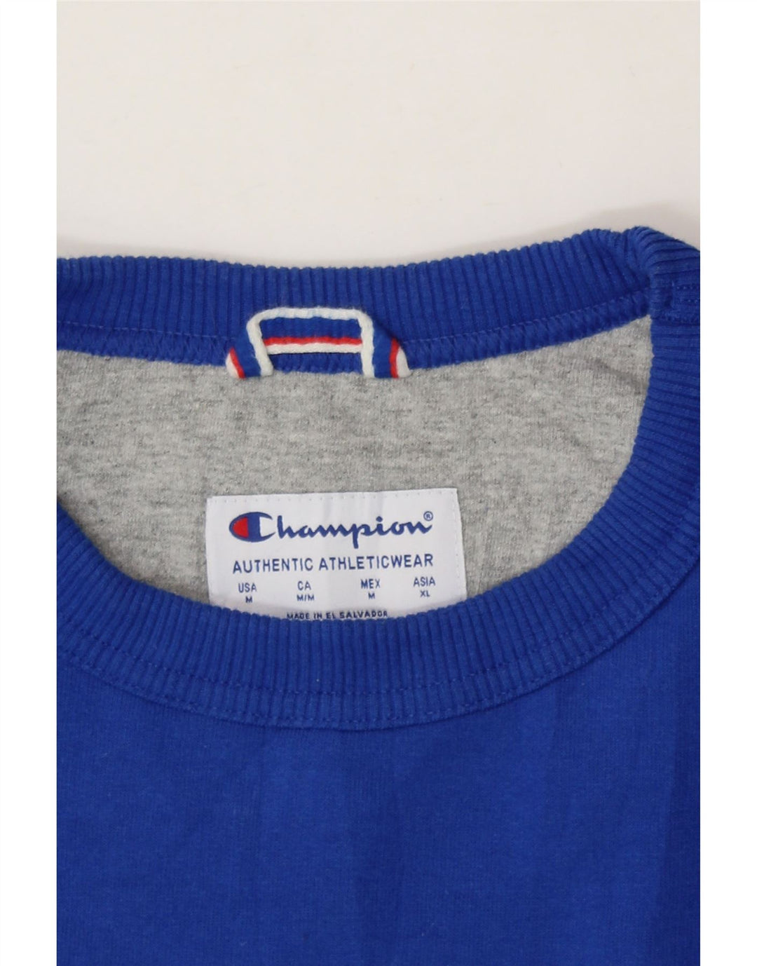 CHAMPION Mens Graphic Sweatshirt Jumper Medium Blue Cotton Vintage Champion and Second-Hand Champion from Messina Hembry 