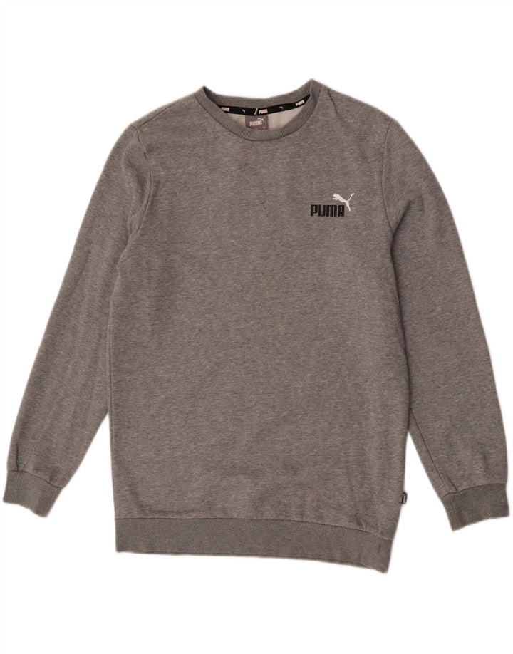 Ανδρική φούτερ Puma Jumper σε γκρι μικρούς μύτες