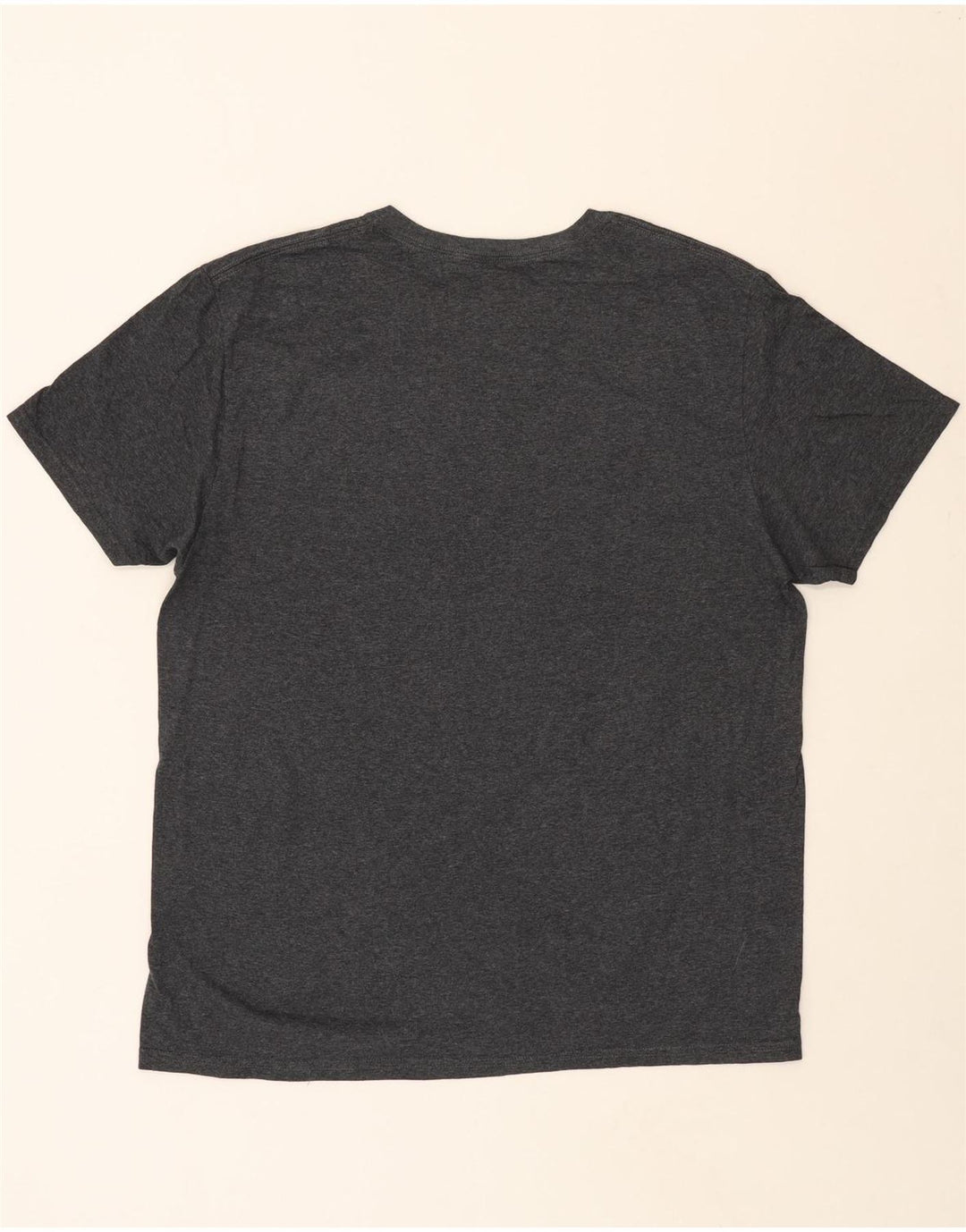 RUSSELL ATHLETIC Mens T-Shirt Top Large Grey Cotton Vintage Russell Athletic and Second-Hand Russell Athletic from Messina Hembry 