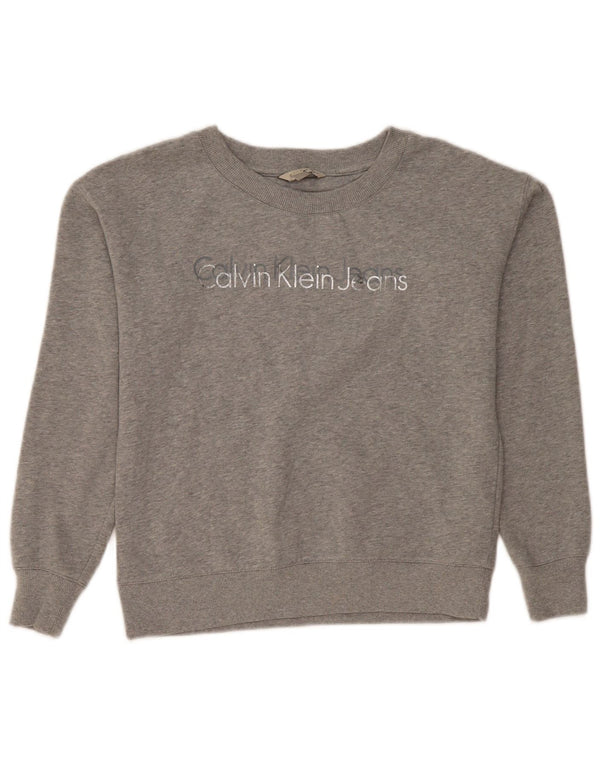 Calvin Klein Jeans Γυναικεία γραφικά υπερμεγέθη φούτερ Jumper UK 6 XS Grey
