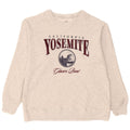 Ανδρικό γραφικό φούτερ Hollister Jumper Μικρό γκρι βαμβακερό