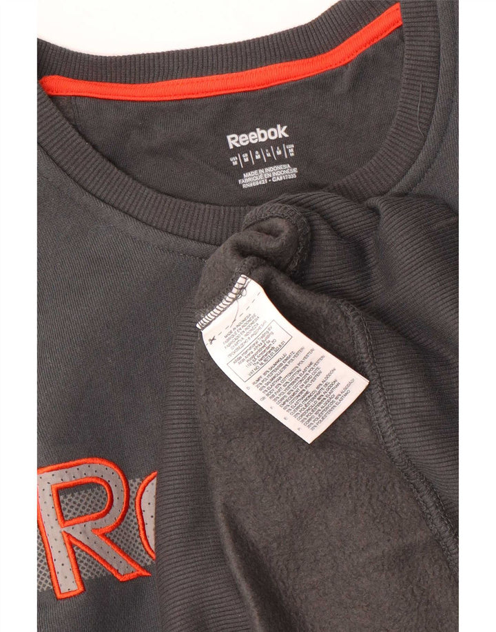 Ανδρικό γραφικό φούτερ Reebok, μεσαίο γκρι βαμβακερό