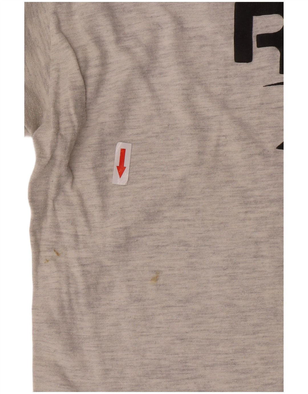 Ανδρικό γραφικό T-Shirt Reebok Top Βαμβακερό με μεσαίο γκρι χρώμα