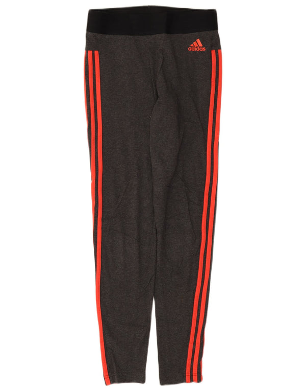 Γυναικείο κολάν Adidas UK 12/14 Βαμβακερό μεσαίο γκρι χρώμα