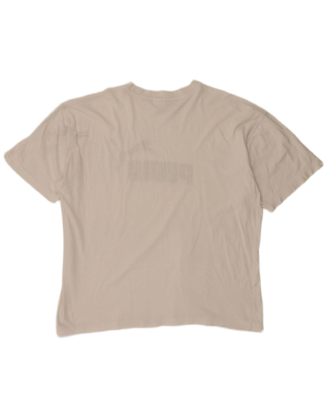 Ανδρικό γραφικό T-Shirt PUMA Top Large Λευκό