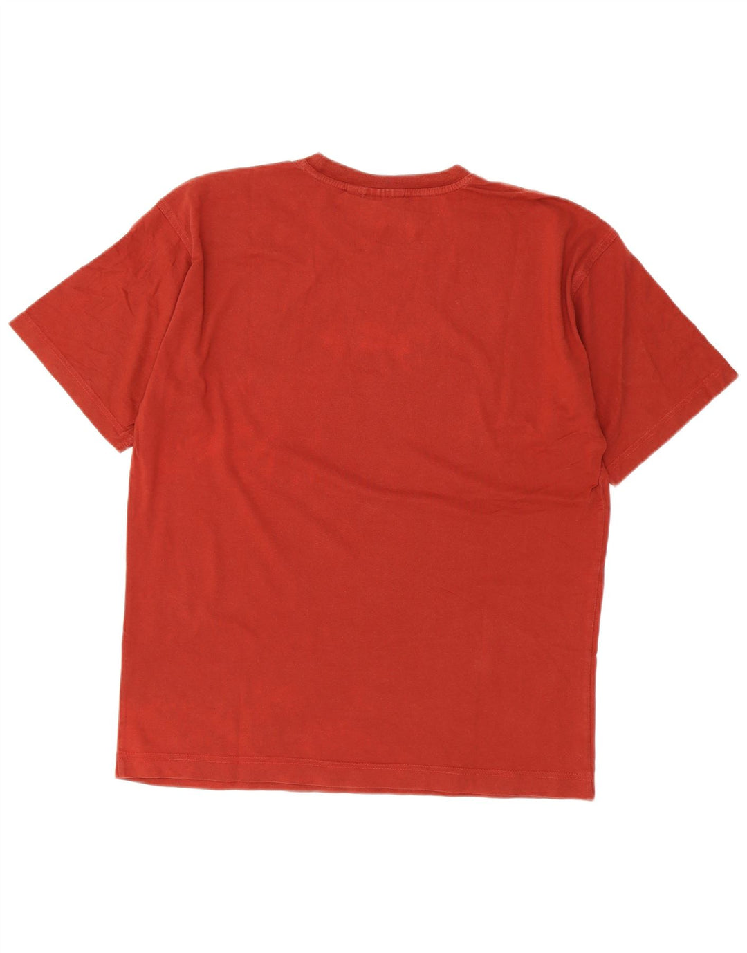 Ανδρικό γραφικό μπλουζάκι Puma Top Larg Brown